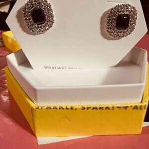 ER43784 AFTER THE STORM